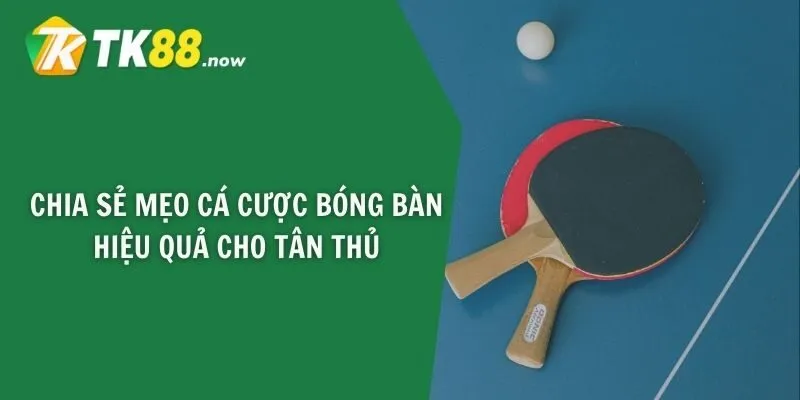 Chia sẻ mẹo cá cược bóng bàn hiệu quả cho tân thủ
