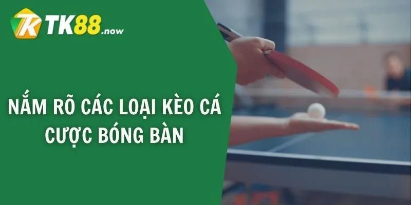 Nắm rõ các loại kèo cá cược bóng bàn