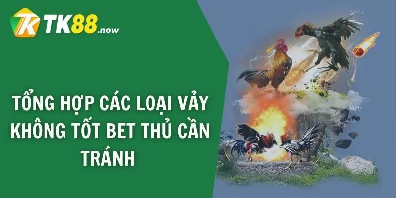 Tổng hợp các loại vảy không tốt bet thủ cần tránh 