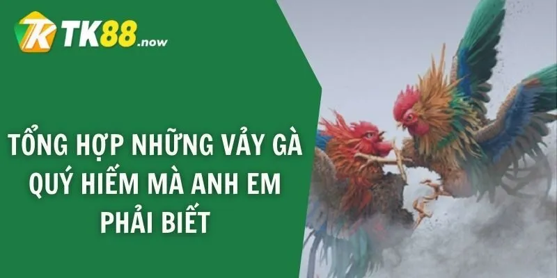 Tổng hợp những vảy gà quý hiếm mà anh em phải biết